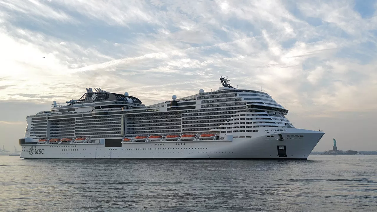 Cruise ship docks in NYC after 44-foot dead endangered whale found on bow