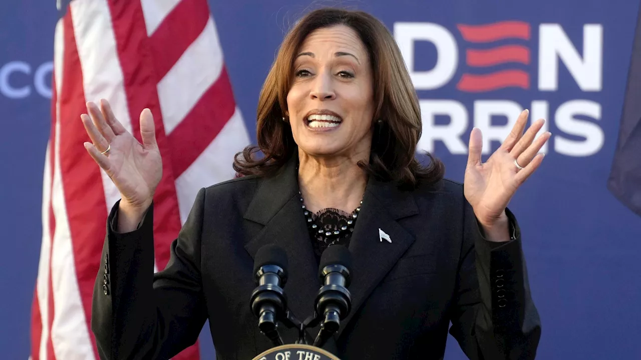 Kamala Harris suggests Supreme Court threatens 'fundamental freedoms,' but doesn't want to be 'alarmist'