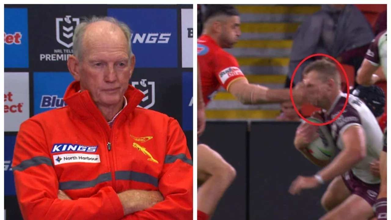 ‘Wouldn’t have bruised a grape’: Wayne, commentators express frustration over questionable call