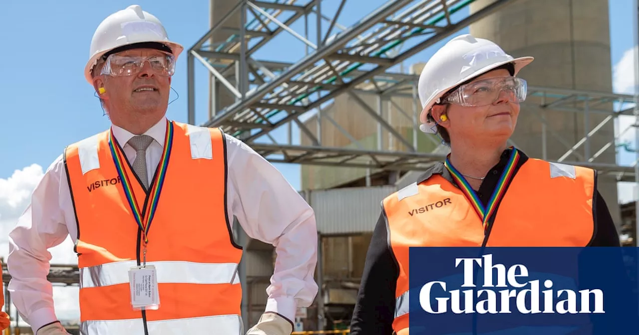 Anthony Albanese faces internal revolt from inner-city Labor MPs over gas strategy