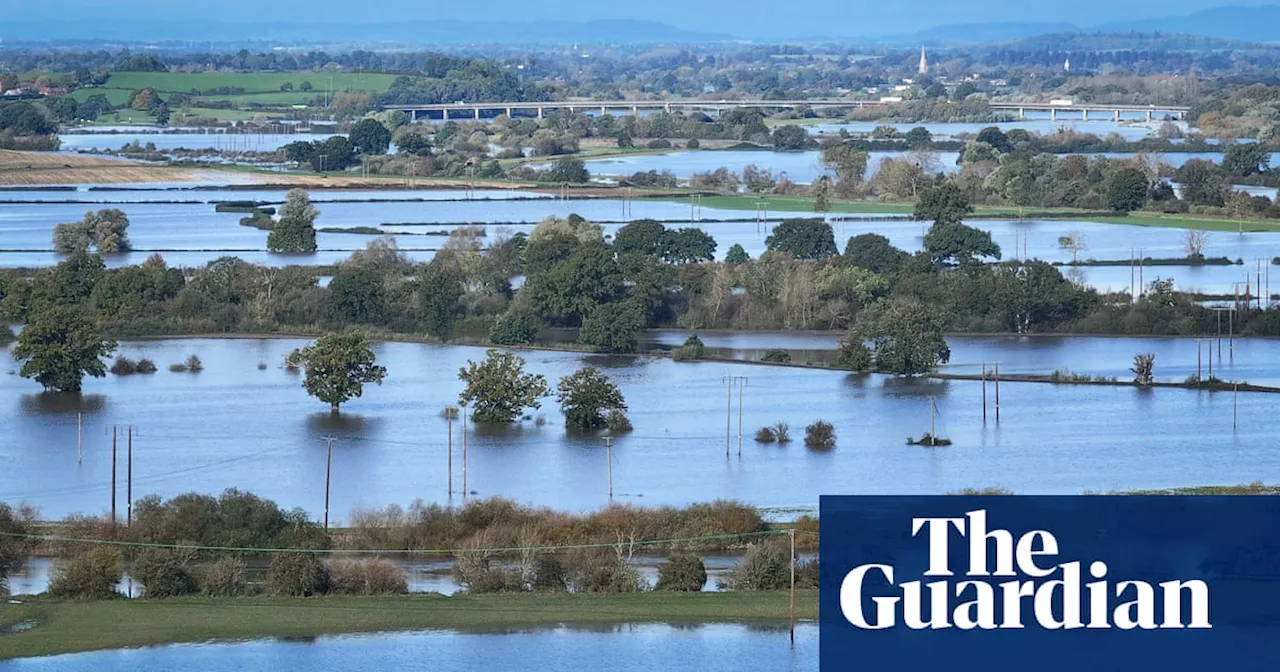 UK farmers consider quitting after extreme wet weather and low profits