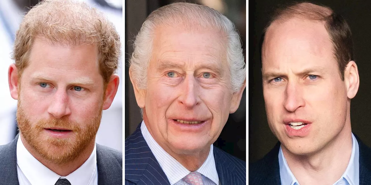 Prince Harry Did Actually Invite King Charles and Prince William to Invictus Games Service