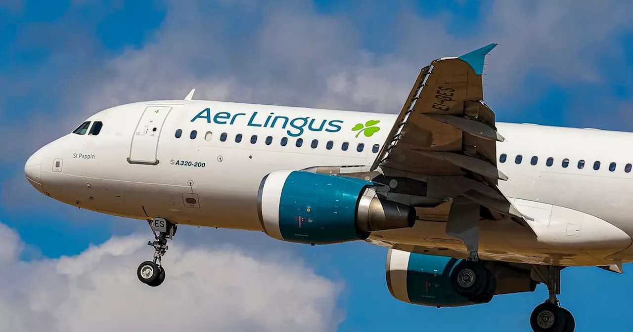 Aer Lingus worker loses unfair dismissal claim after 'bullies and bitches' rant