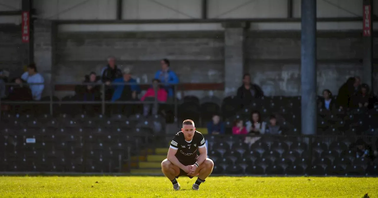 Tailteann Cup: Sligo preparing to go again after unlucky championship defeat to Galway