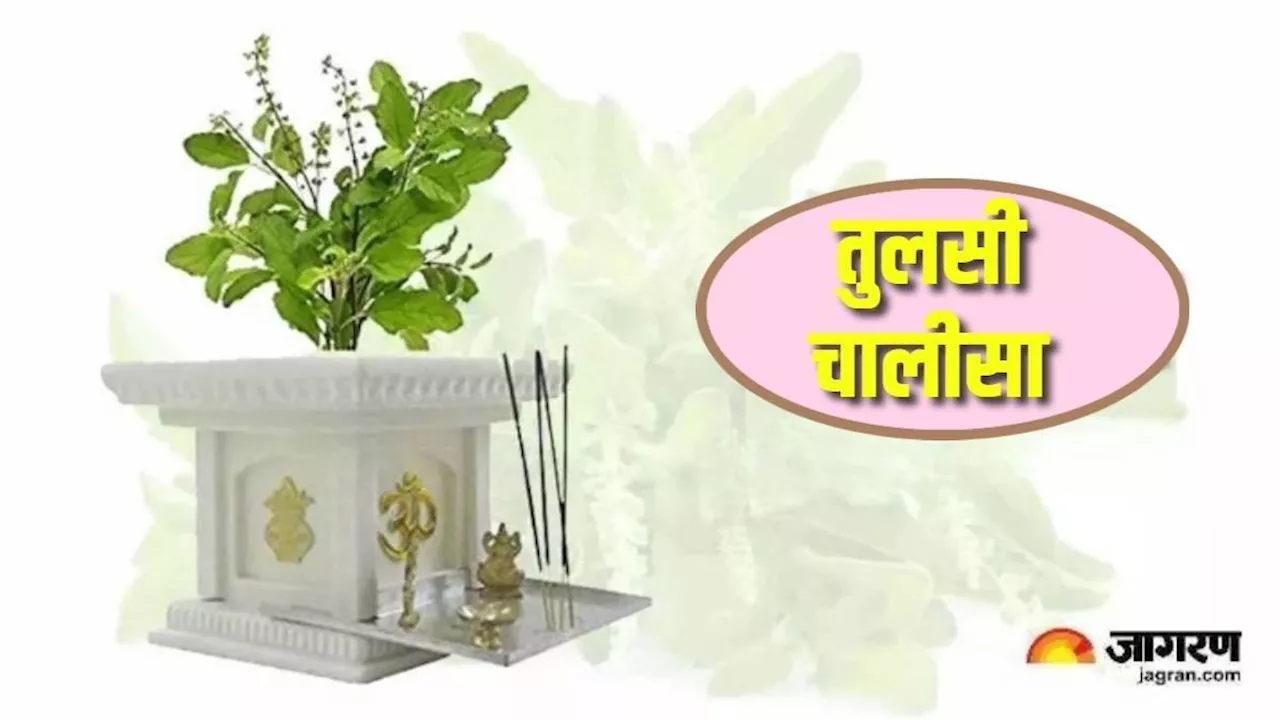 Tulsi Chalisa: गुरुवार को पूजा के समय करें इस चमत्कारी चालीसा का पाठ, मिलेगा मनचाहा वर