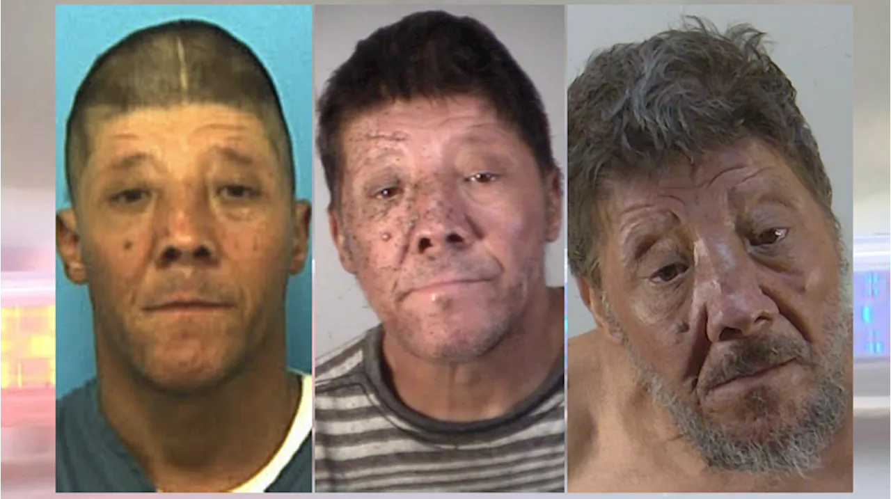 Repeat offender with hammer attacked senior during argument over dumped wood, deputies say