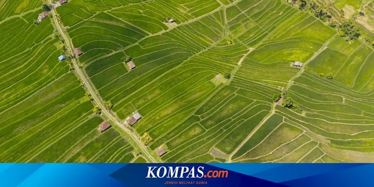 Kuartal Pertama, 64,41 Hektar Lahan Industri di Jabodetabek Terjual