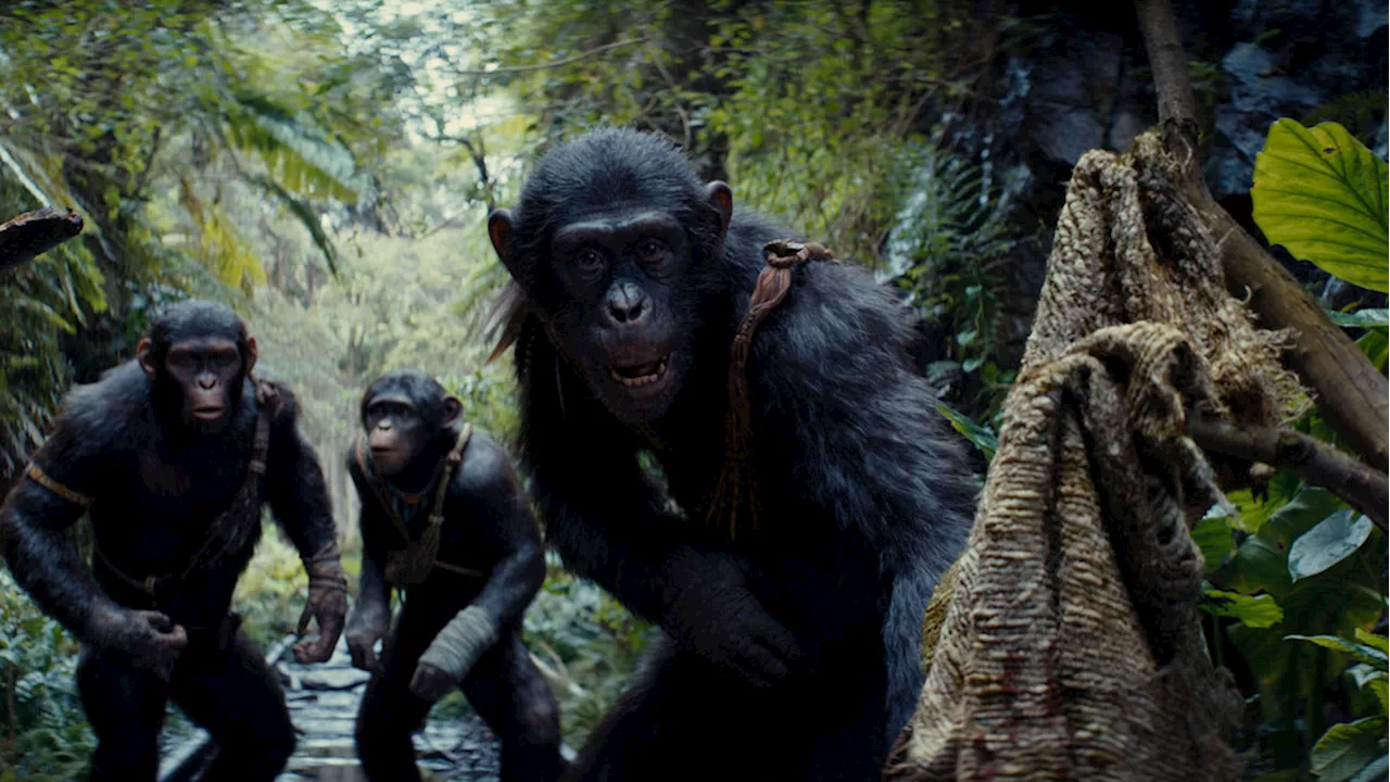 Entertaining 'Kingdom of the Planet of the Apes' raises questions as it resets the stage