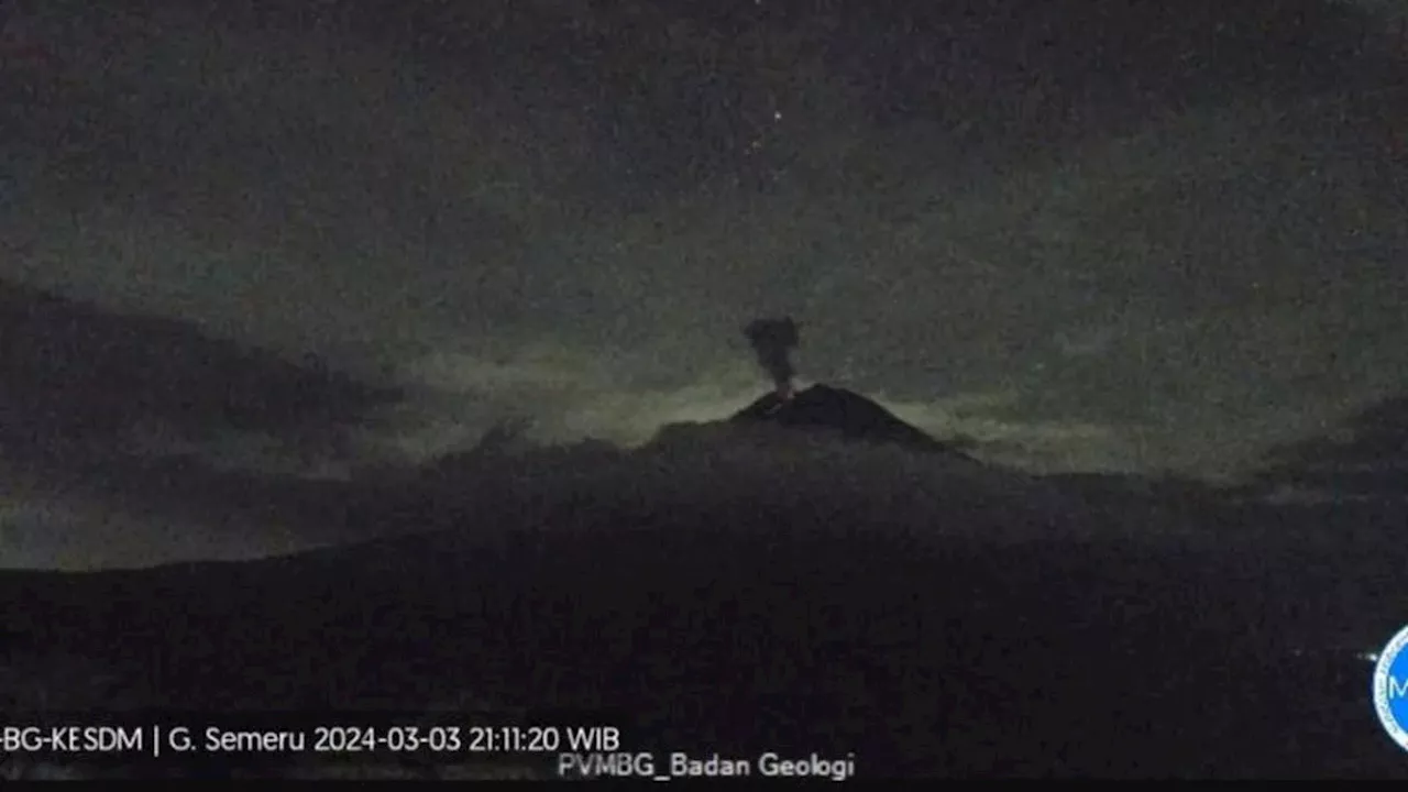 Gunung Semeru Tiga Kali Erupsi Kamis Hari Ini, Lontarkan Abu Vulkanik Putih hingga Kelabu