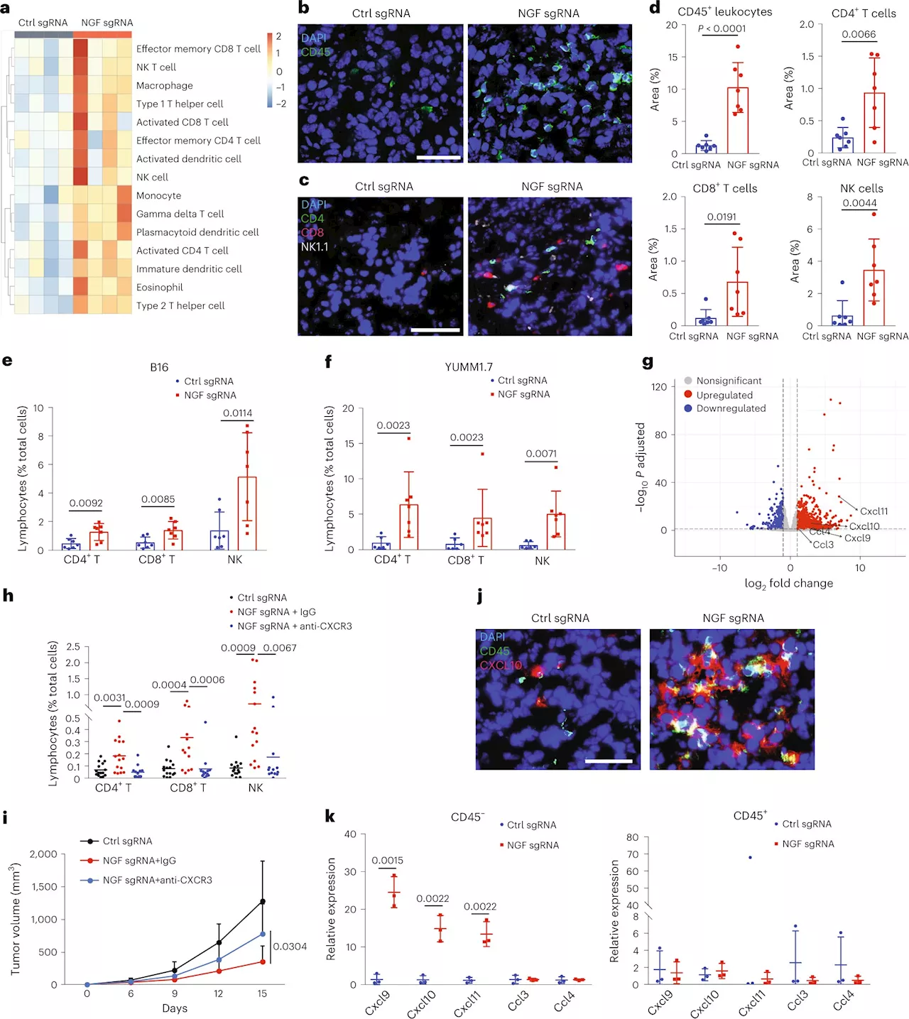 Scientists discover how deadly skin cancer evades the human immune system