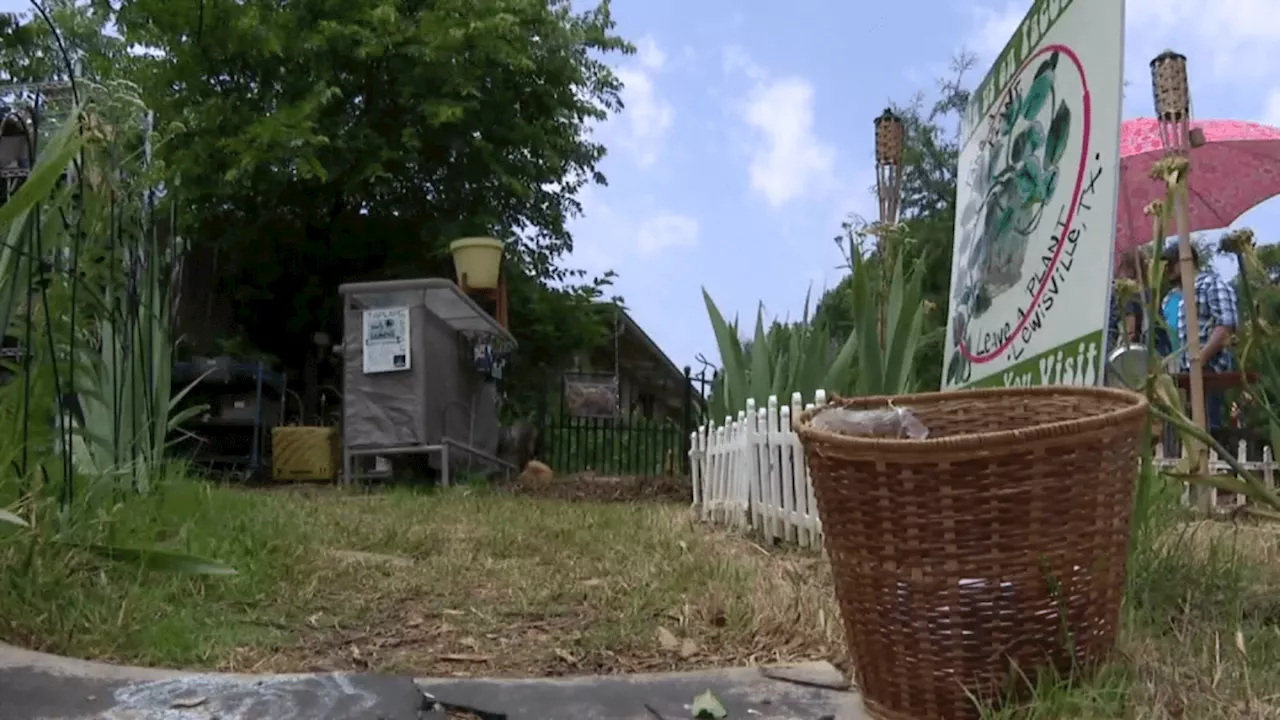 DFW area ‘Take a Plant, Leave a Plant' shares love of gardening