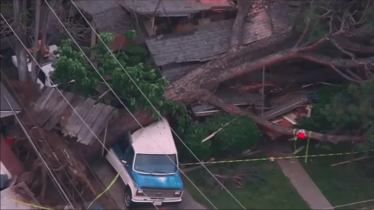 ‘She's always been afraid of the tree.' Toppled tree in Monrovia damages home, car