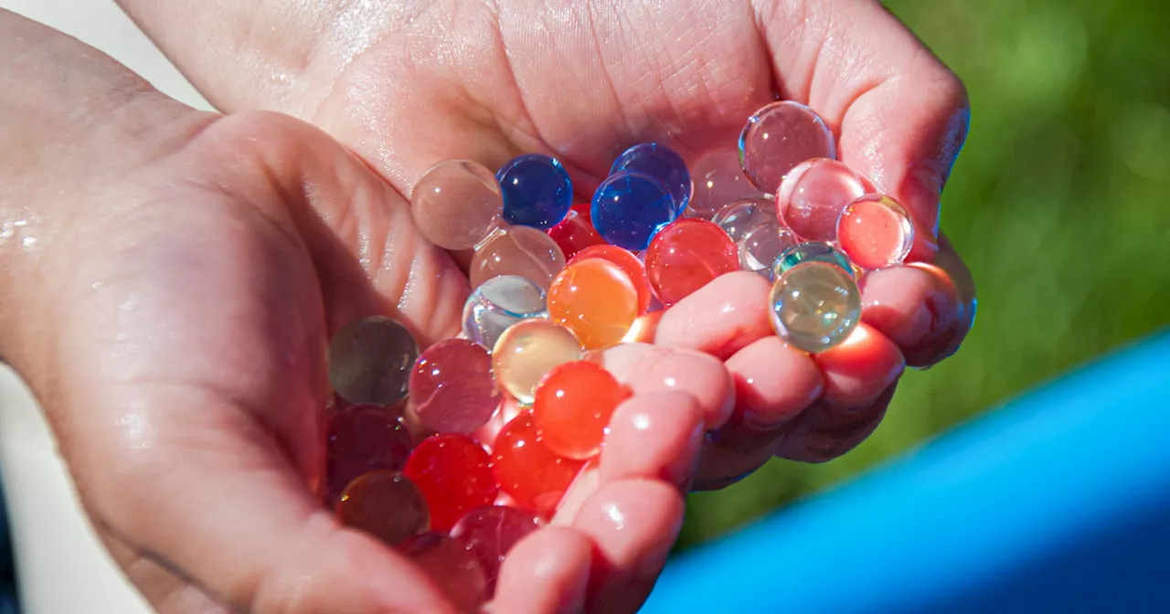 Bill aims to ban potentially hazardous water beads sold as children’s toys