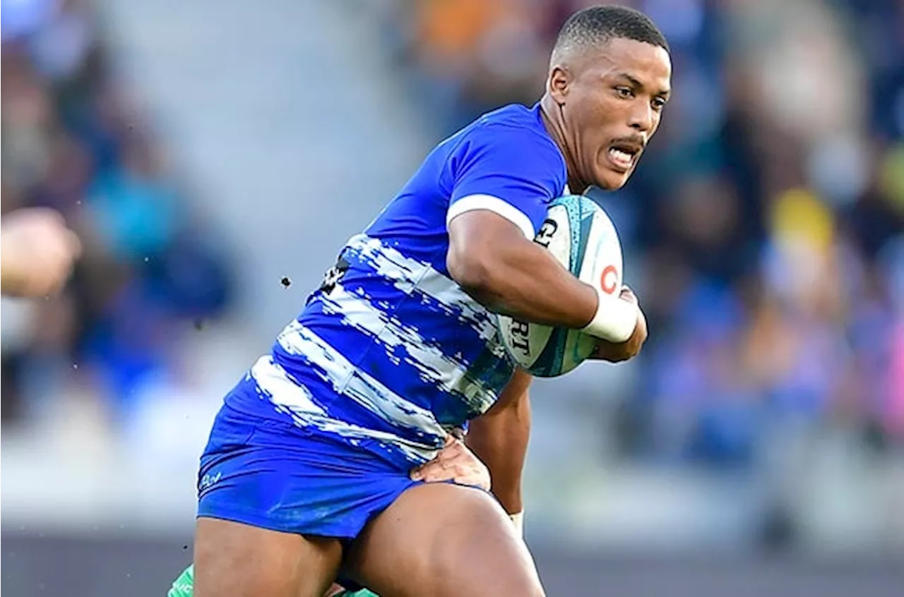 Fit-again trio boost Stormers for Dragons clash in Wales