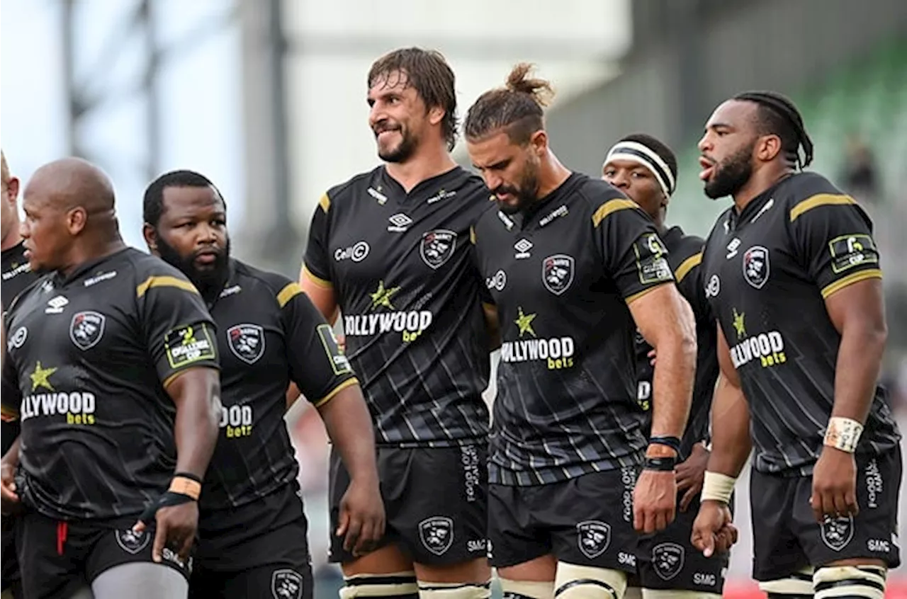 Sharks way or the highway: Don't expect SA teams to reach URC-EPCR title nirvana anytime soon