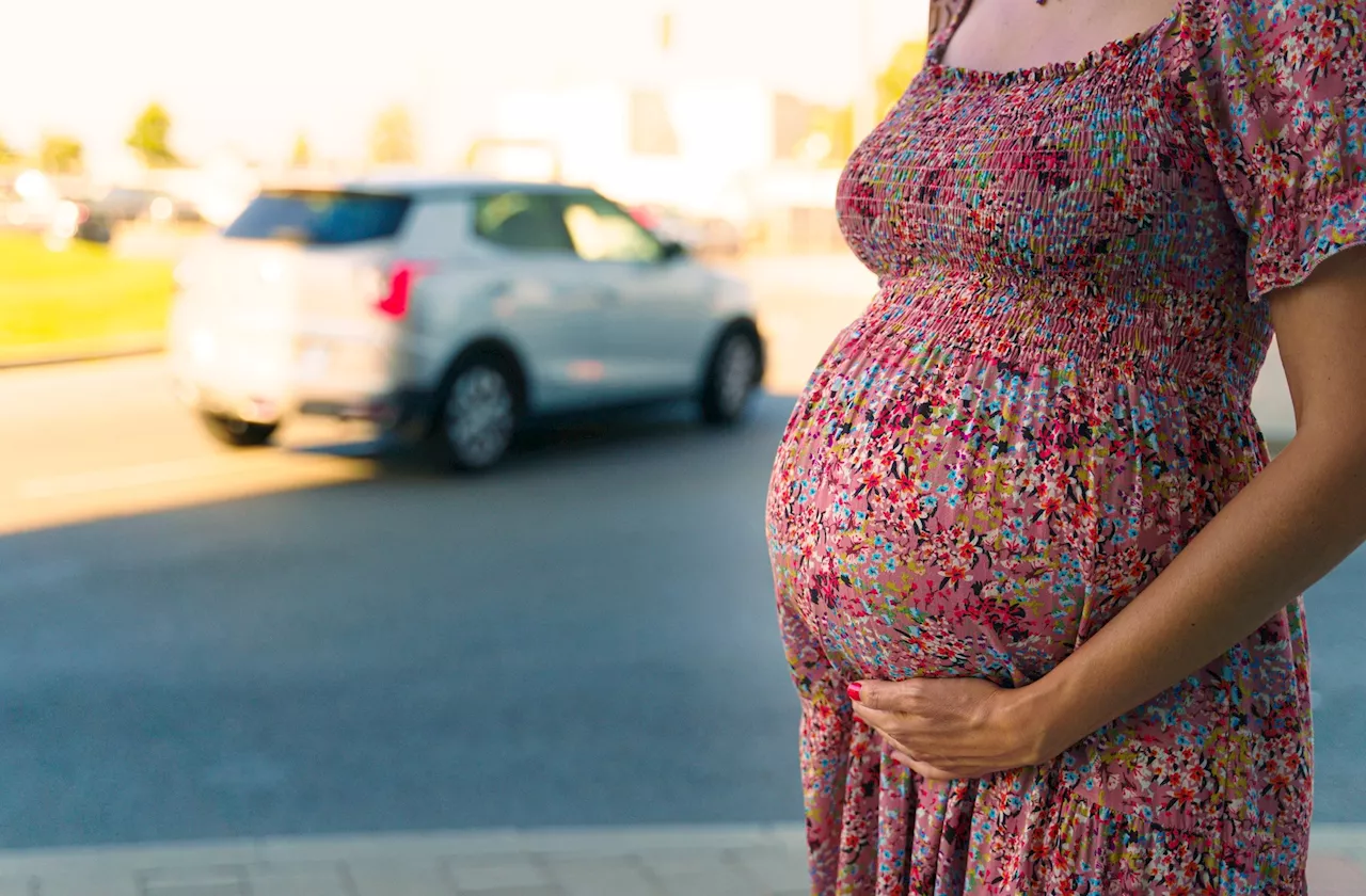 Placental DNA methylation patterns altered by pregnancy air pollution exposure, research reveals