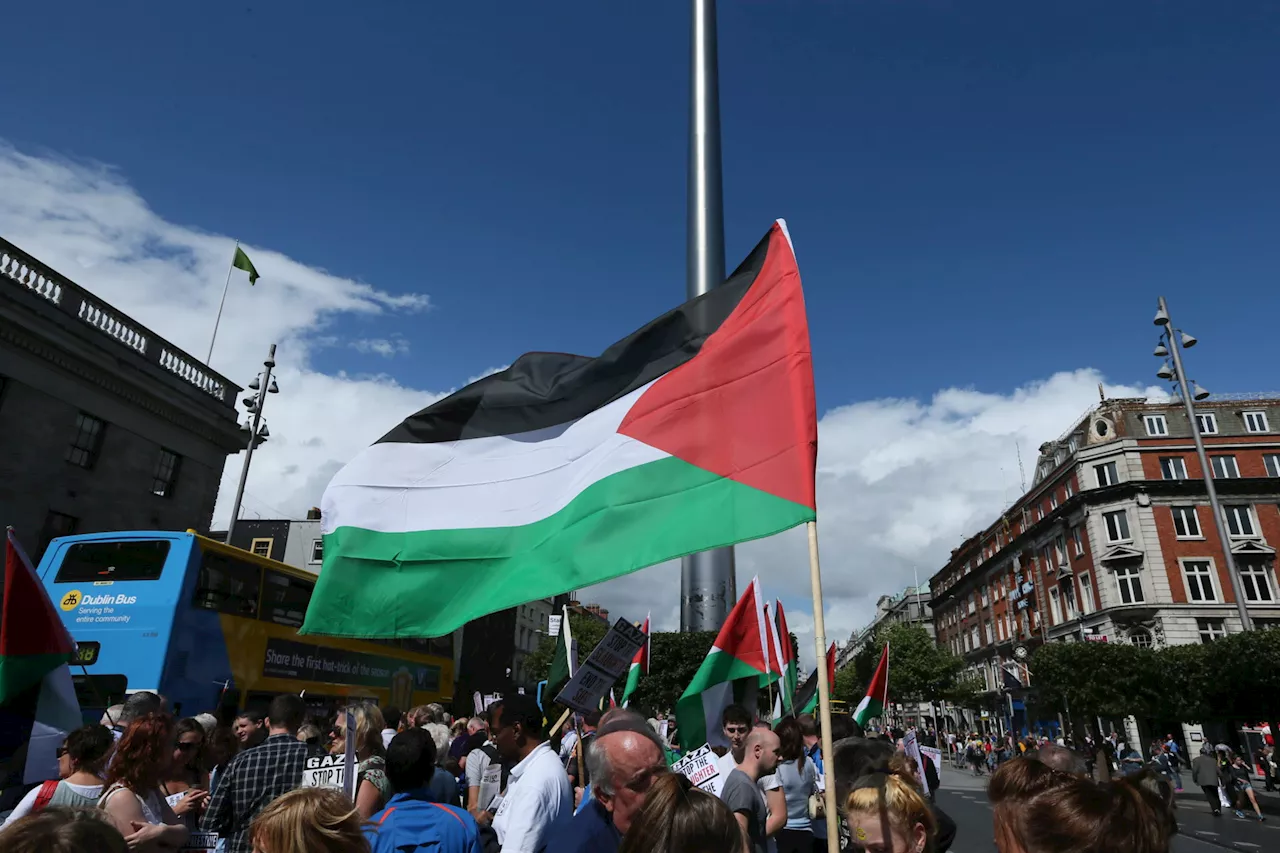 Should the Palestinian flag fly at Leinster House on Nakba Day?