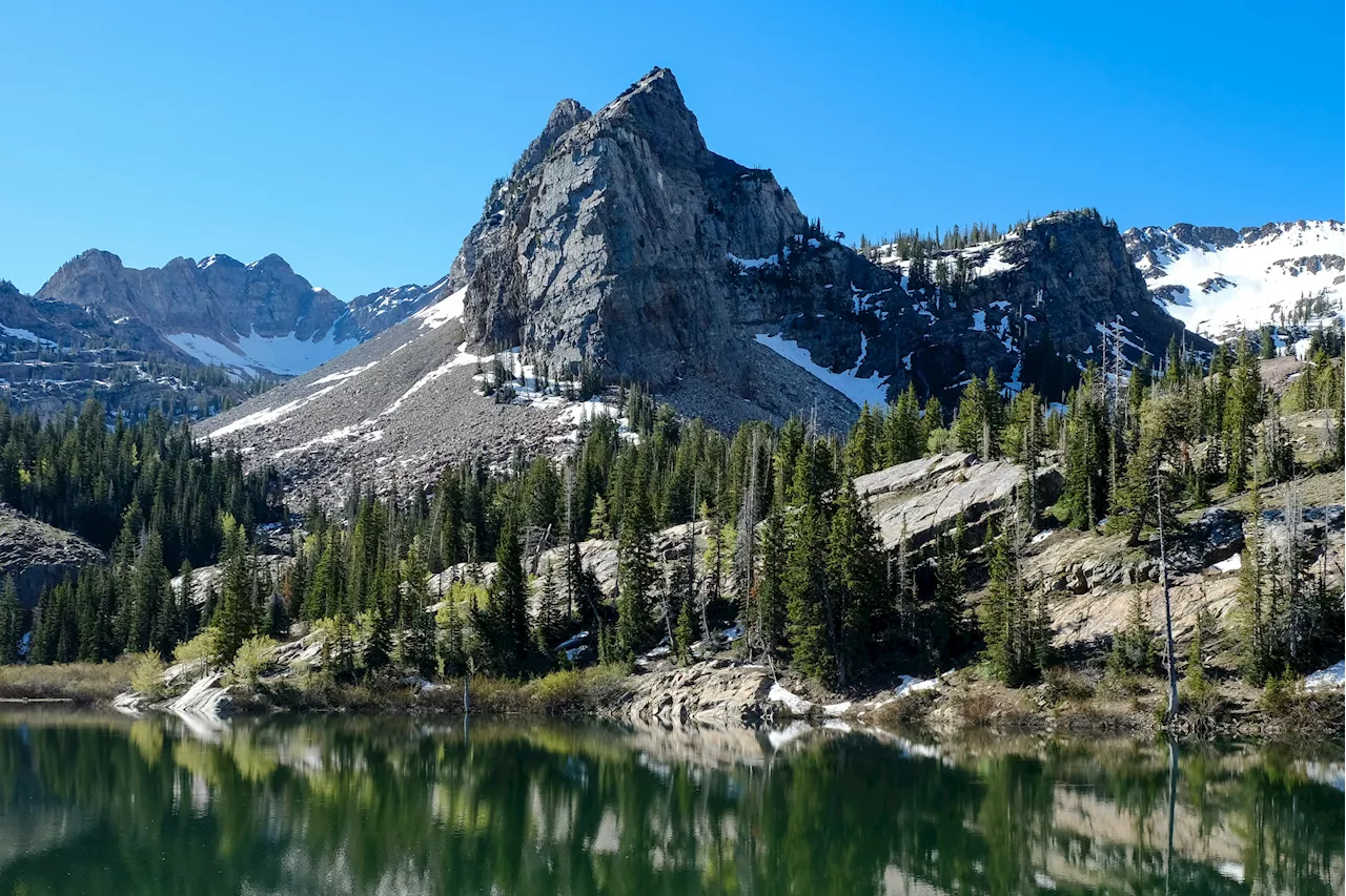 Multiple Skiers Missing in Avalanche Near Salt Lake City