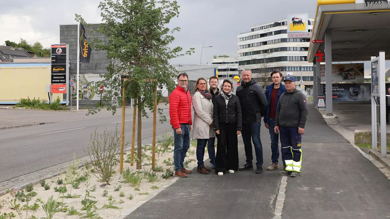 Rad- und Gehweg in der Kremser Wachaustraße sind jetzt top