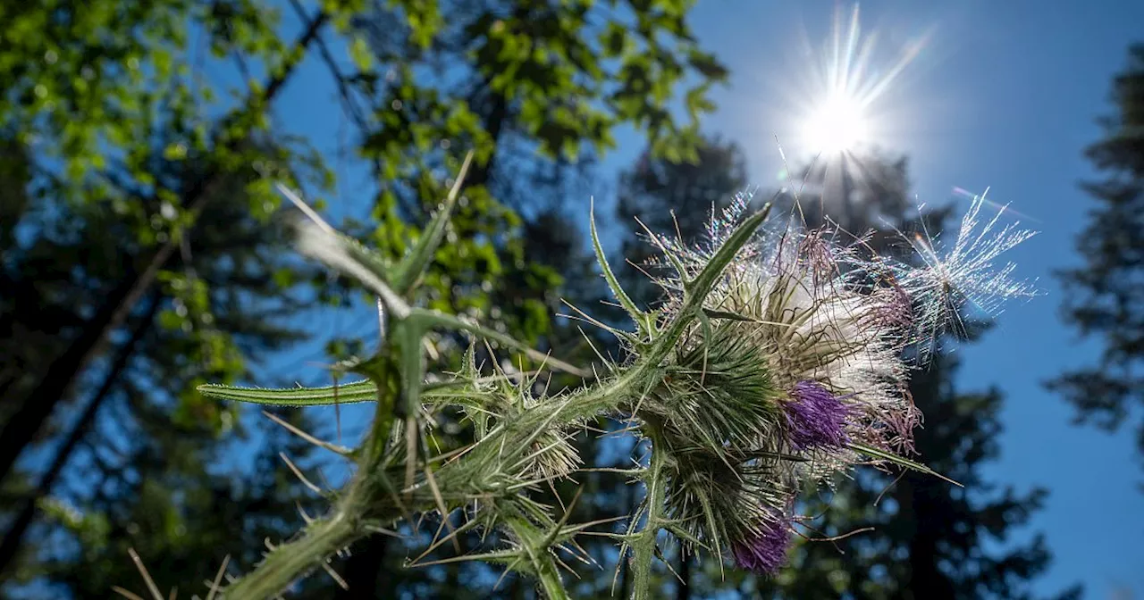 Wetter in OWL: Hier scheint am Wochenende am längsten die Sonne