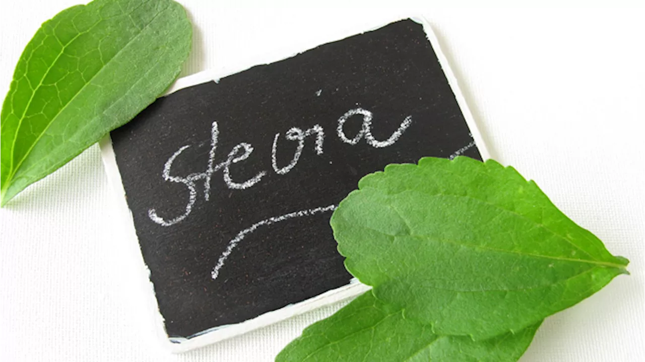 La stevia tiene a bada glicemia e diabete?