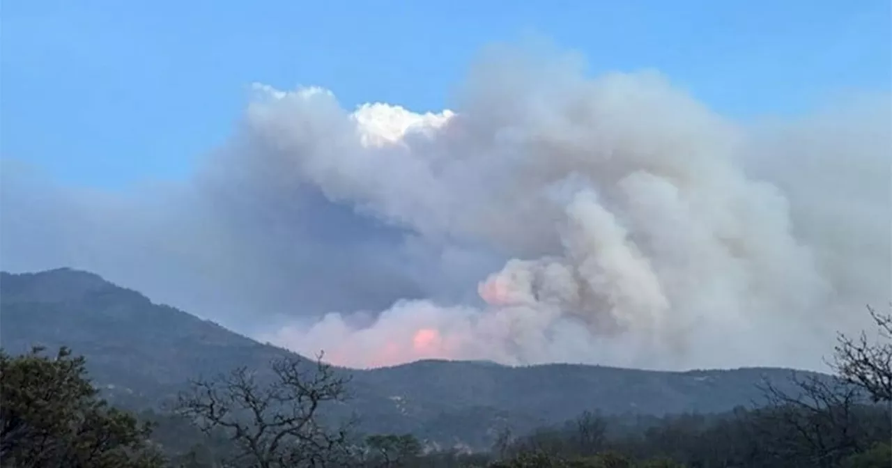 Incendio en sierra de San Luis de la Paz consume casi 500 hectáreas