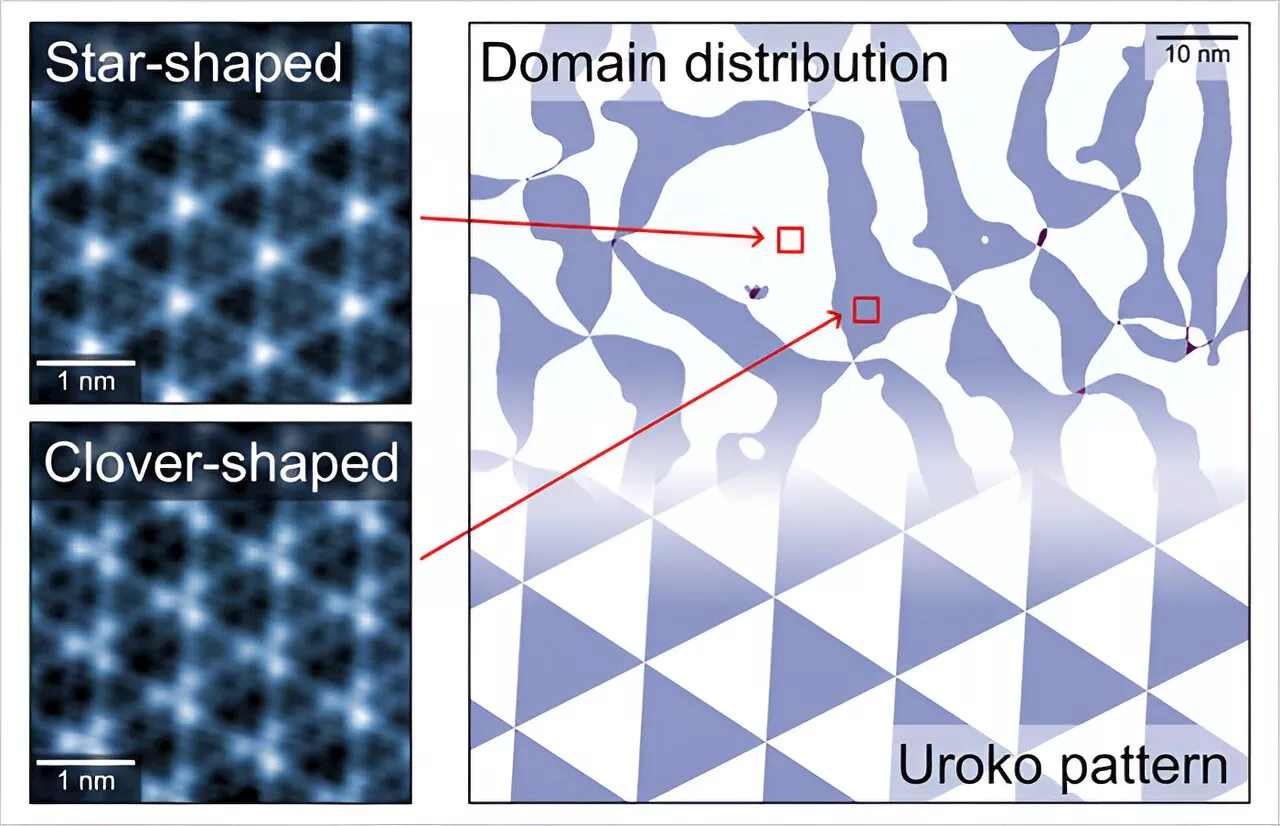 Alternating triangular charge density wave domains observed within a layered superconducting compound