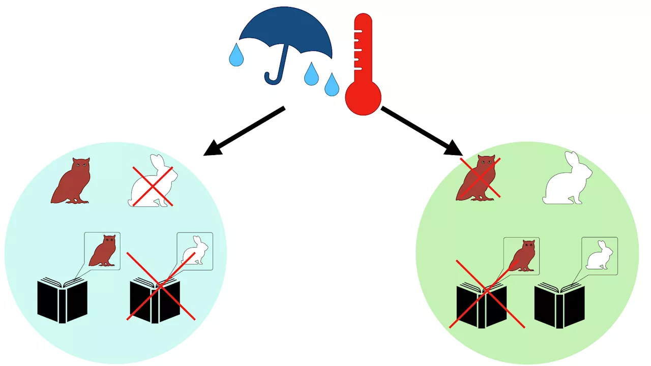 Biogeographical evidence shows trickster animal folklore is limited by environmental factors