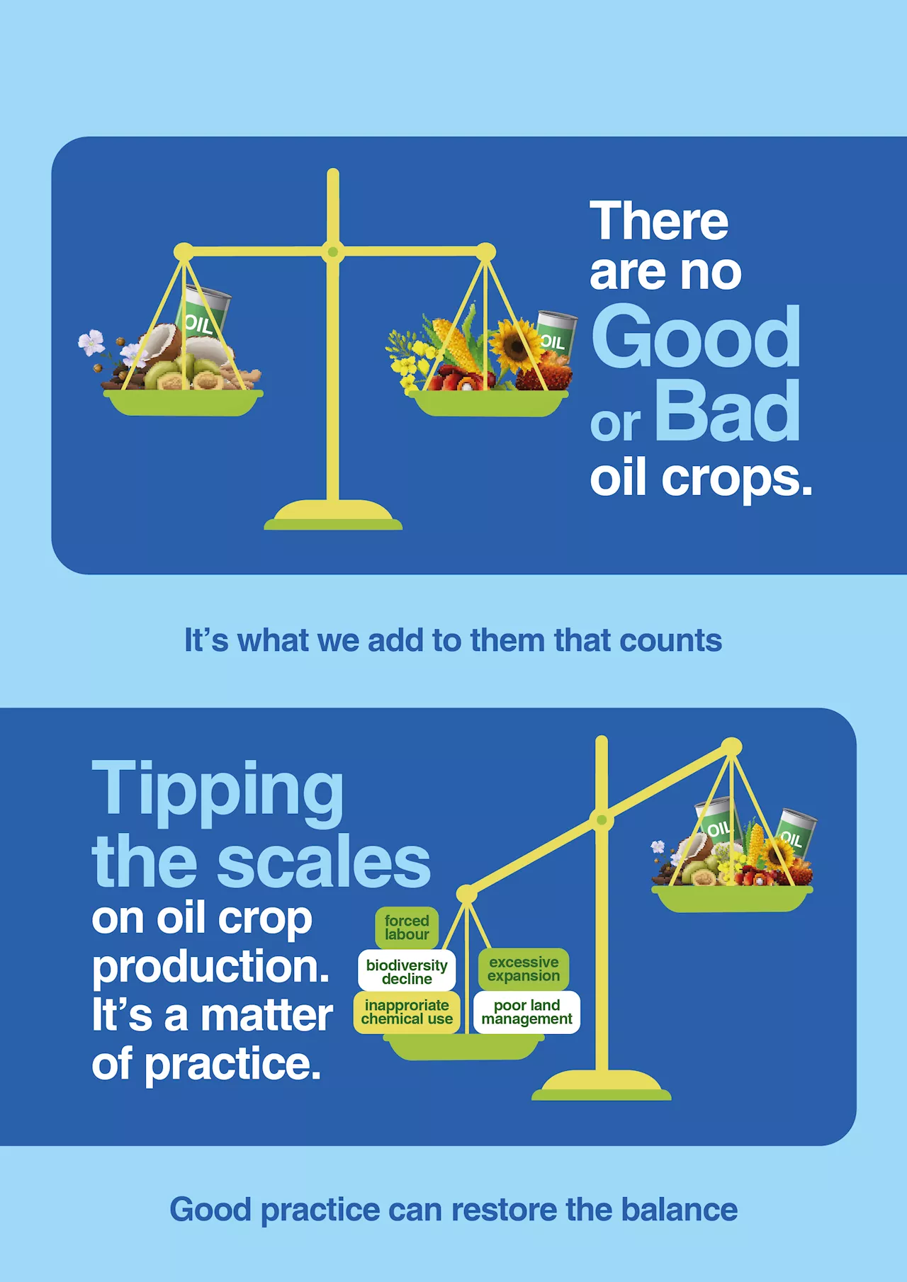 Report: There are no good or bad oil crops, only good and bad practices