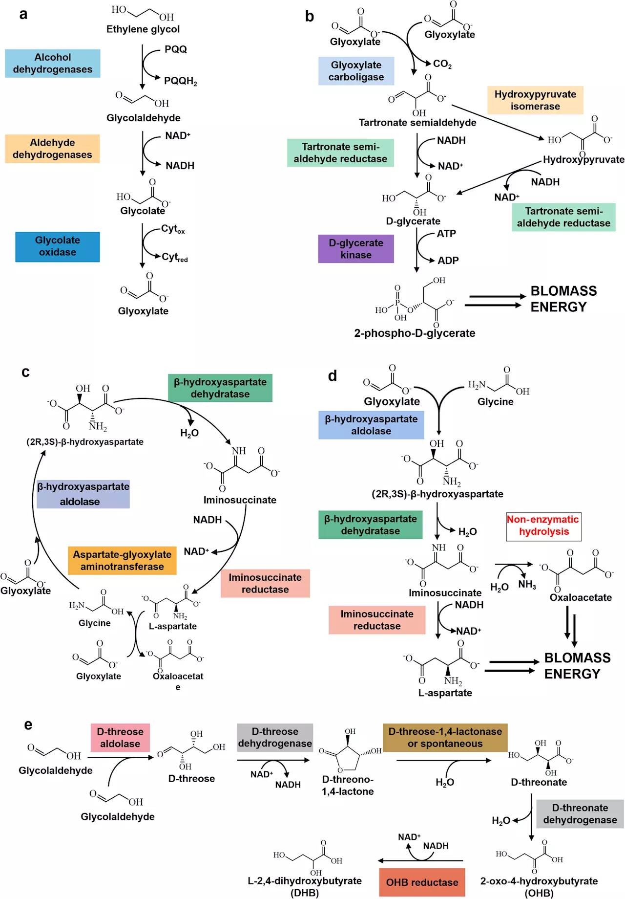 Turning trash into treasure: Exploring biotic and abiotic methods for PET plastic upcycling