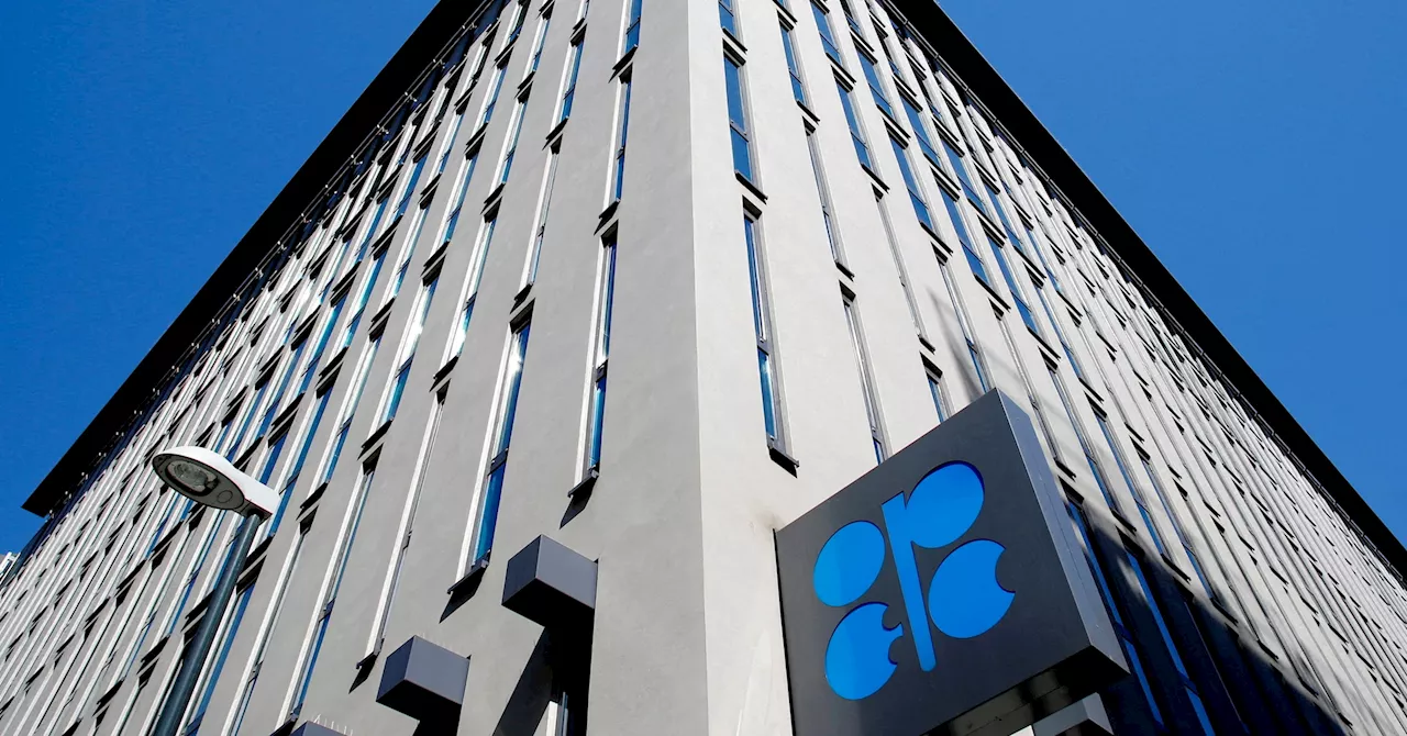 OPEC switches to 'call on OPEC+' in global oil demand outlook, sources say