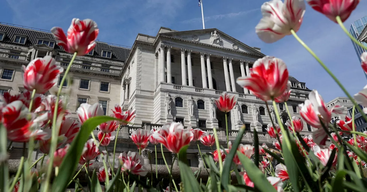 Stocks consolidate record highs, pound ground down by BoE