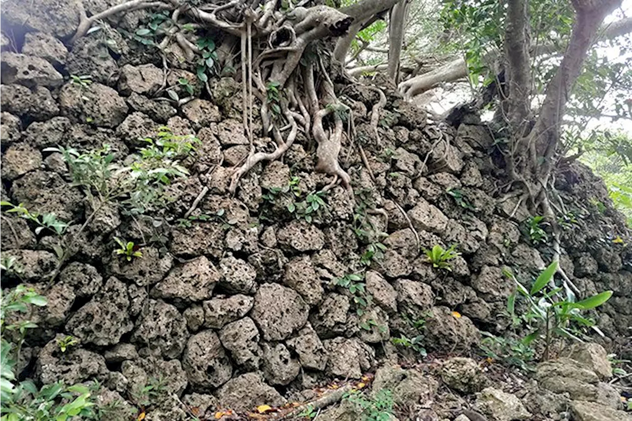 【地図あり】糸満市の「南山城跡」、国史跡に申請へ 14～15世紀の石垣残る 沖縄