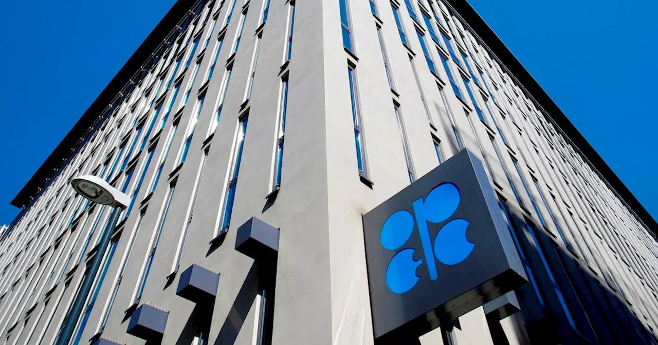 OPEC switches to 'call on OPEC+' in global oil demand outlook, sources say