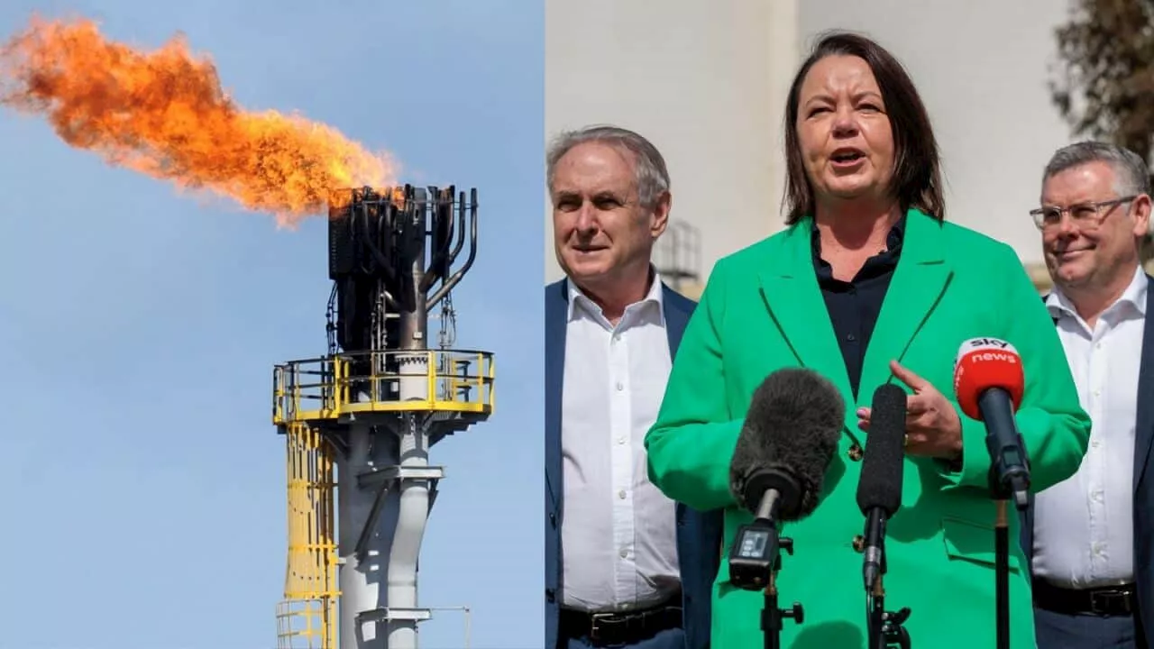 ‘A more dangerous future': Experts condemn Australia's new gas strategy