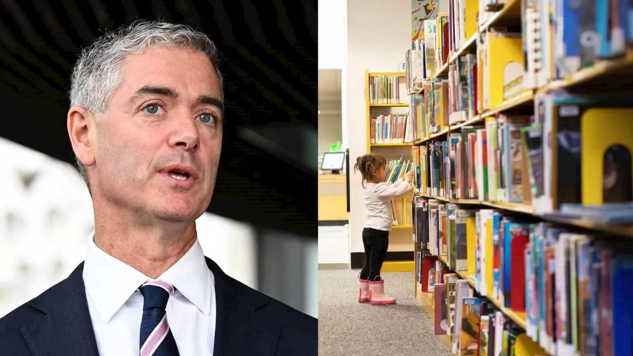 Library funding under threat over 'culture war' same-sex book ban