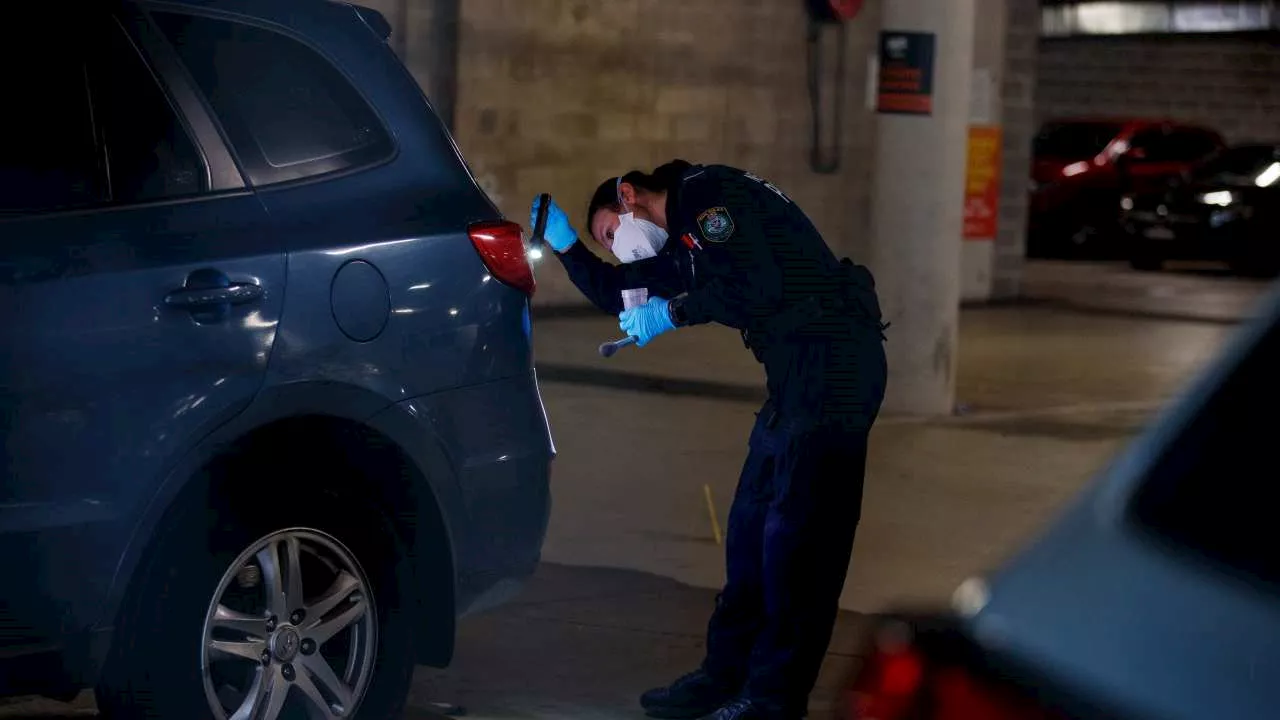 Man charged after allegedly stabbing ex-girlfriend in Sydney gym carpark