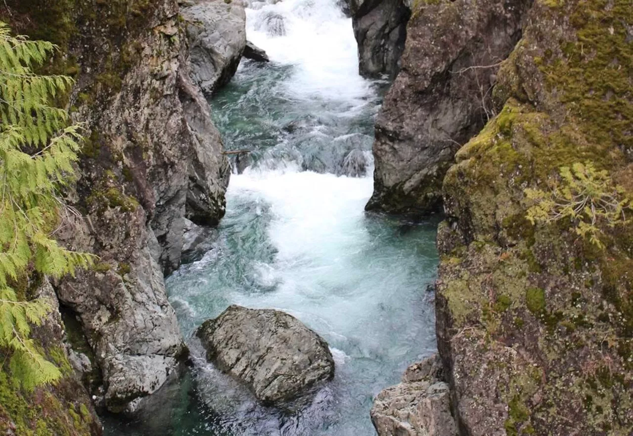 ‘Precipitation deficit’: rivers recede as B.C. feeling ongoing drought trend