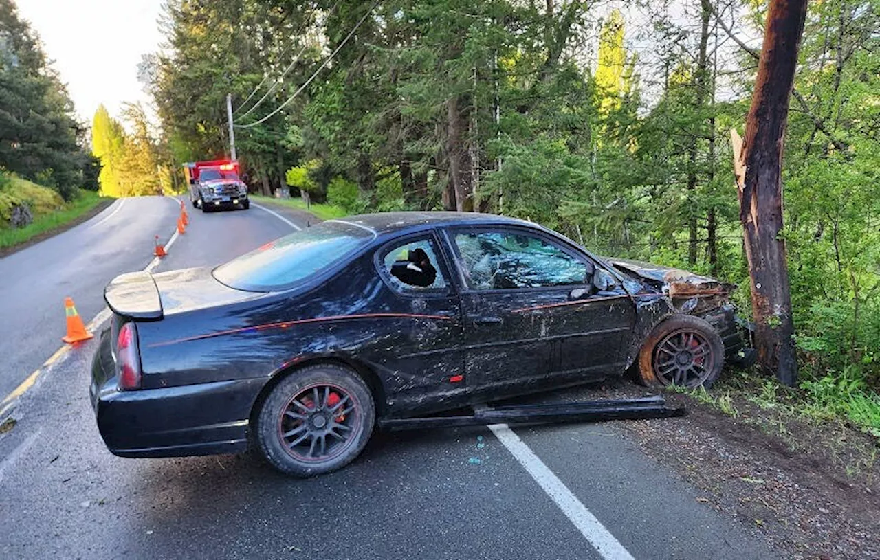 Driver who crashed into power pole in Metchosin suspected to be impaired by drugs