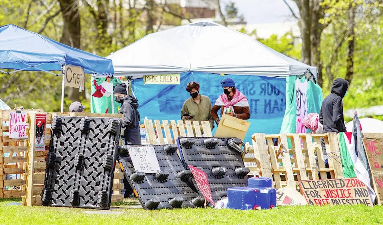 Protesters at UVic say they don't feel safe after attacks by man with off-leash dogs