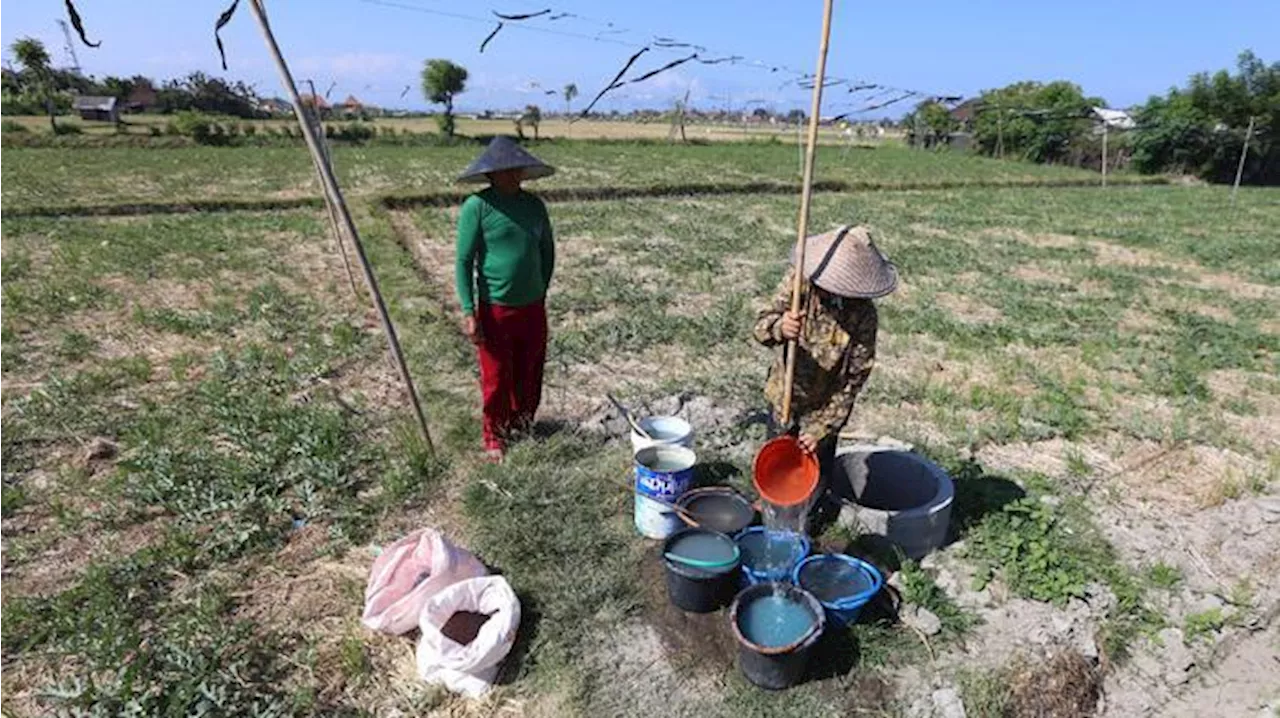 World Water Forum ke-10 Dorong Penyaluran Akses Air Bersih untuk Masyarakat di Daerah Terpencil