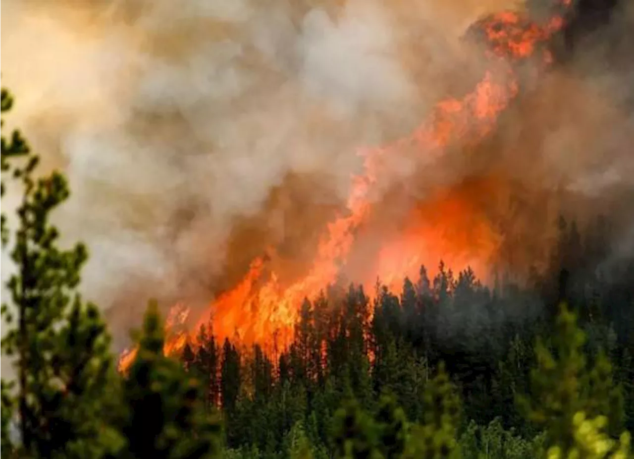 Tiene Canadá 87 incendios forestales activos