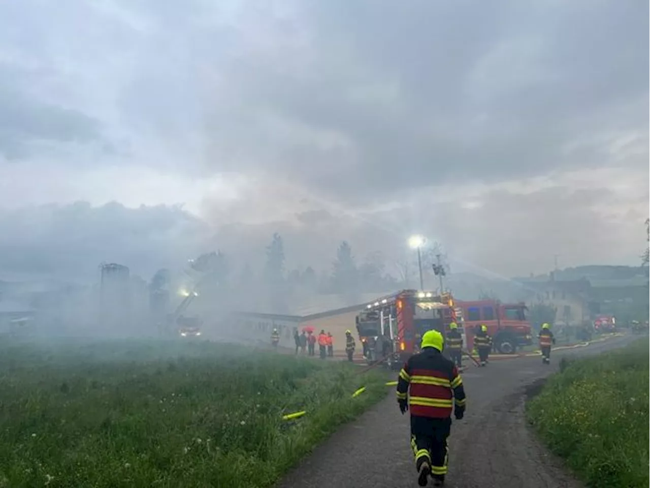 Feuerdrama in Gossau: Über 800 Schweine verendet