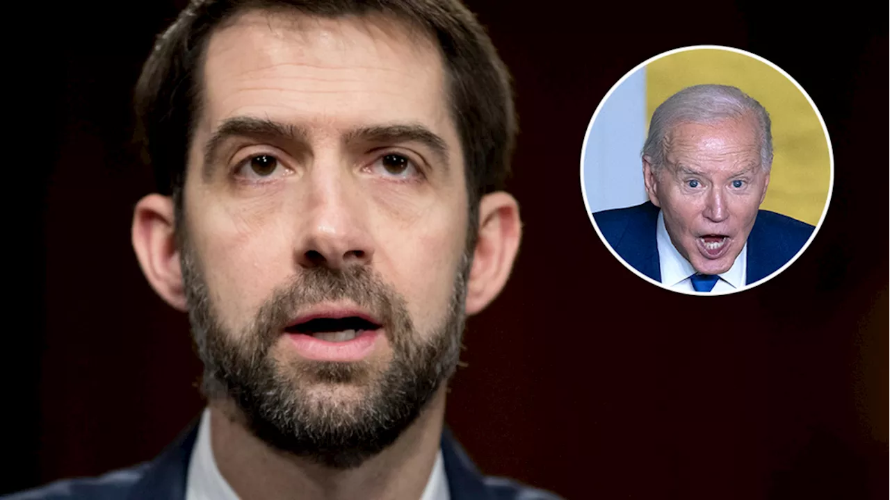 House has 'no choice' but to impeach Biden for conditioning Israel aid, GOP senator says