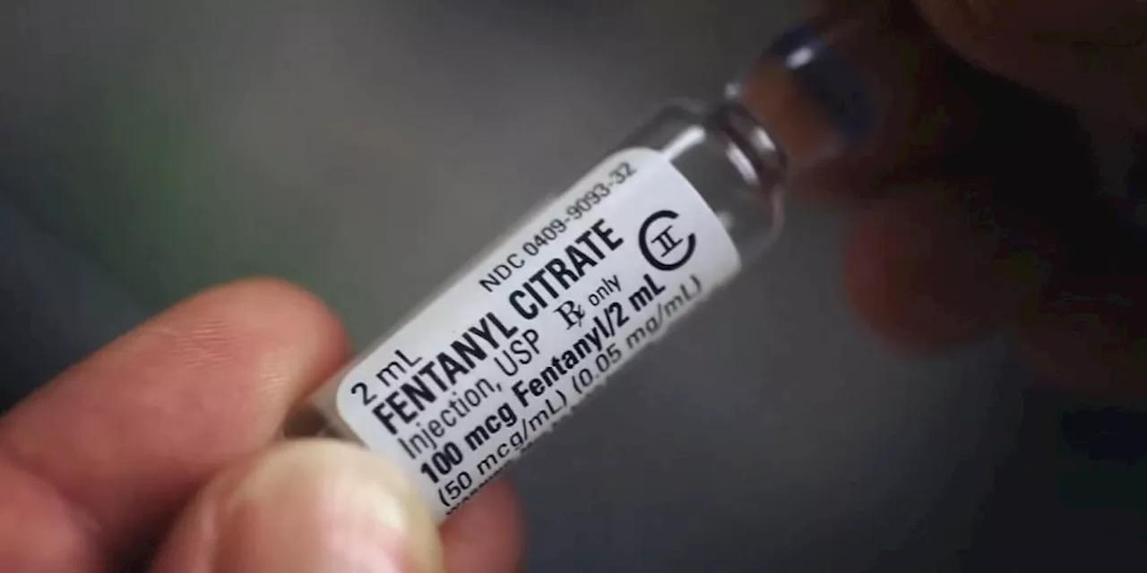 People speak on fentanyl crisis for National Fentanyl Awareness Day