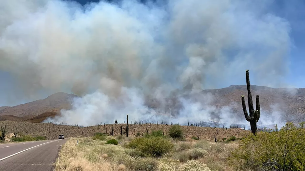 Fire near Sunflower closes northbound SR-87