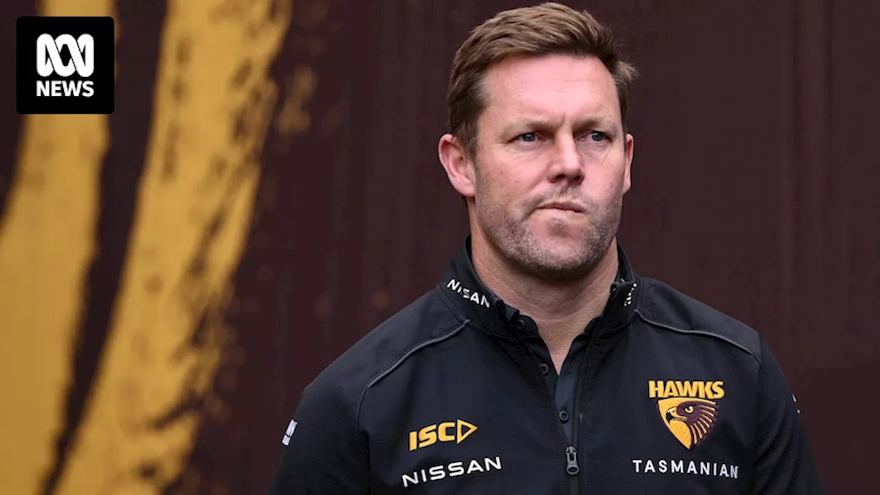 Hawks AFL coach Sam Mitchell decries racism after social media abuse of a player