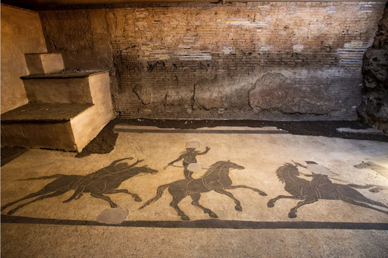 Palazzo Farnese svela i tesori sotterranei, due mosaici romani