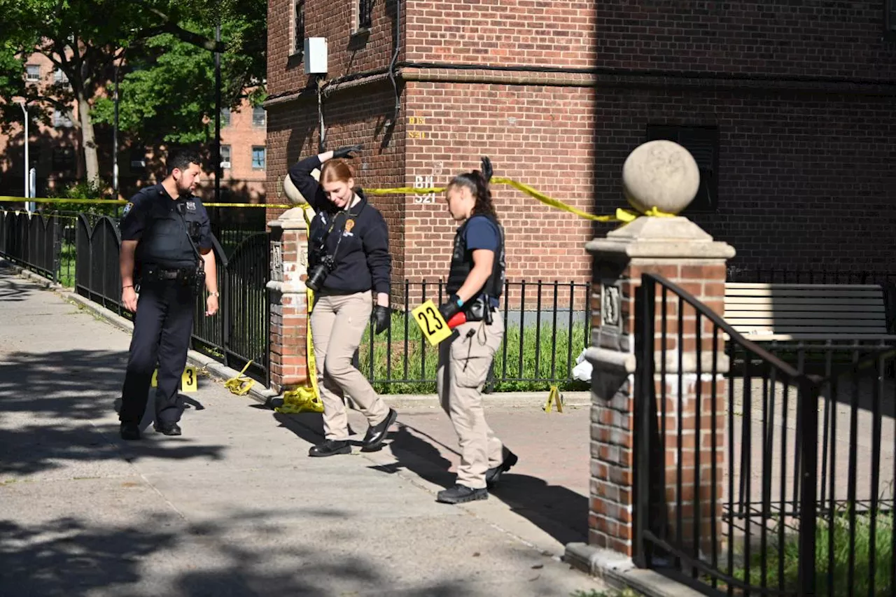 Brooklyn man fatally shot in back at public housing complex: NYPD