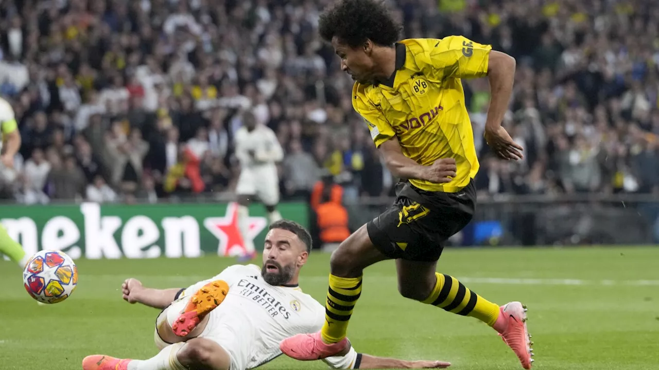 Dortmund rues missed chances in Champions League final loss